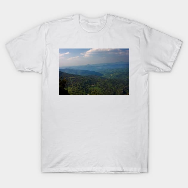 DSC_0185 T-Shirt by wgcosby